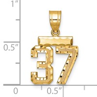 14K Yellow Gold Small Brushed Diamond-cut Number 37 Charm view 2