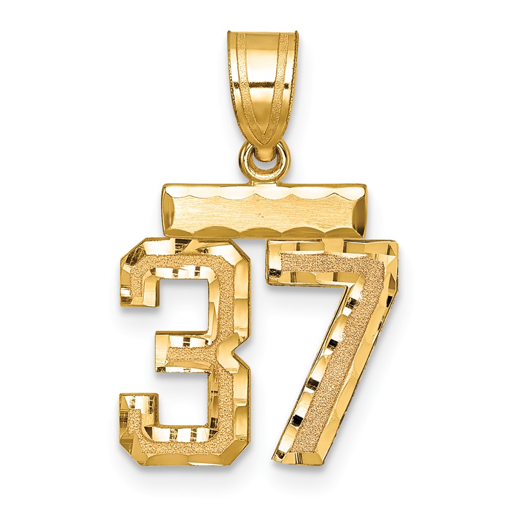 14K Yellow Gold Small Brushed Diamond-cut Number 37 Charm
