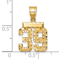 14K Yellow Gold Small Brushed Diamond-cut Number 39 Charm view 2