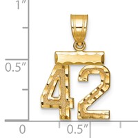 14K Yellow Gold Small Brushed Diamond-cut Number 42 Charm view 3
