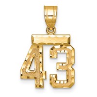 14K Small Brushed Diamond-cut Number 43 Charm view 1