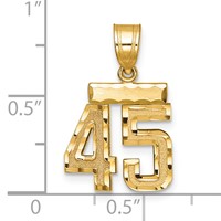 14K Yellow Gold Small Brushed Diamond-cut Number 45 Charm view 2