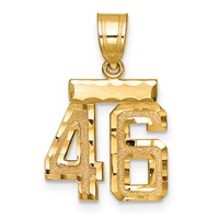 14K Yellow Gold Small Brushed Diamond-cut Number 46 Charm view 1