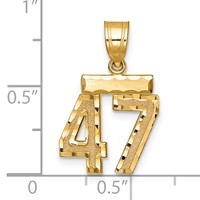 14K Yellow Gold Small Brushed Diamond-cut Number 47 Charm view 2