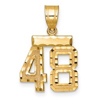 14K Small Brushed Diamond-cut Number 48 Charm view 1