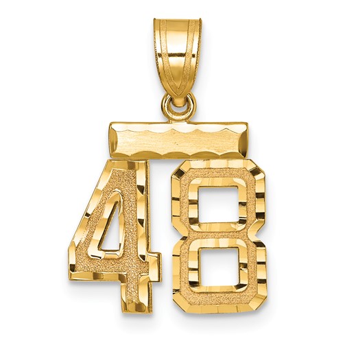 14K Yellow Gold Small Brushed Diamond-cut Number 48 Charm