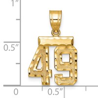 14K Yellow Gold Small Brushed Diamond-cut Number 49 Charm view 2