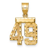 14K Yellow Gold Small Brushed Diamond-cut Number 49 Charm view 1