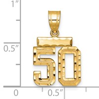 14K Yellow Gold Small Brushed Diamond-cut Number 50 Charm view 2