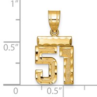 14K Yellow Gold Small Brushed Diamond-cut Number 51 Charm view 2