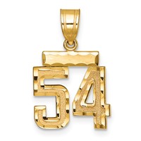 14K Yellow Gold Small Brushed Diamond-cut Number 54 Charm view 1