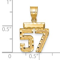 14K Yellow Gold Small Brushed Diamond-cut Number 57 Charm view 2