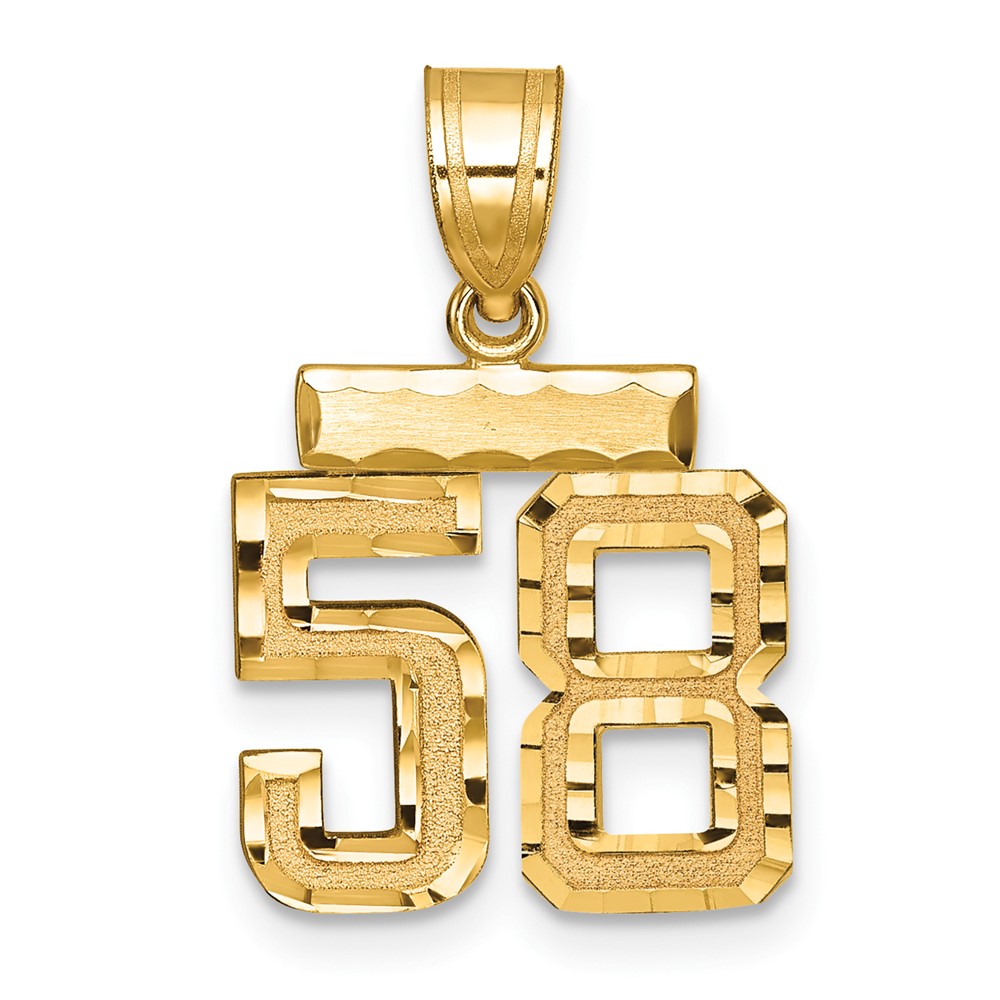 14K Yellow Gold Small Brushed Diamond-cut Number 58 Charm