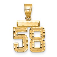 14K Yellow Gold Small Brushed Diamond-cut Number 58 Charm view 1