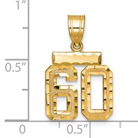 14K Yellow Gold Small Brushed Diamond-cut Number 60 Charm view 2