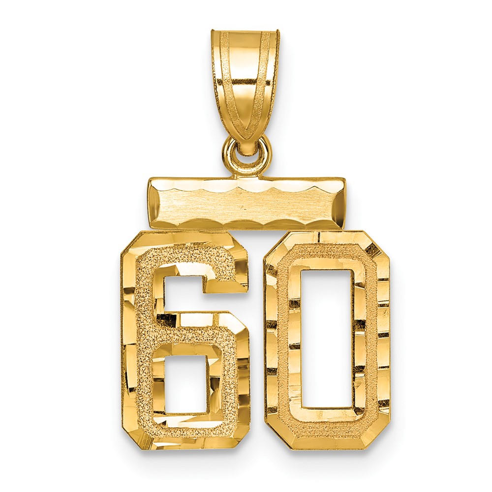 14K Yellow Gold Small Brushed Diamond-cut Number 60 Charm