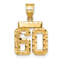 14K Yellow Gold Small Brushed Diamond-cut Number 60 Charm view 1