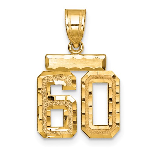 14K Yellow Gold Small Brushed Diamond-cut Number 60 Charm