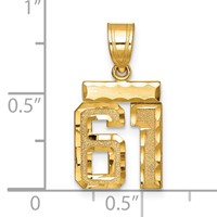 14K Yellow Gold Small Brushed Diamond-cut Number 61 Charm view 2