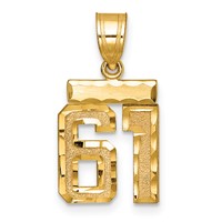14K Yellow Gold Small Brushed Diamond-cut Number 61 Charm view 1