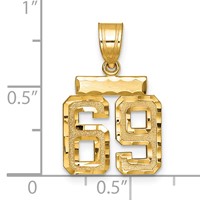 14K Yellow Gold Small Brushed Diamond-cut Number 69 Charm view 2