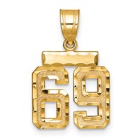 14K Yellow Gold Small Brushed Diamond-cut Number 69 Charm view 1