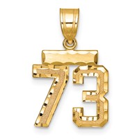 14K Yellow Gold Small Brushed Diamond-cut Number 73 Charm view 1