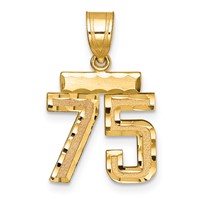 14K Yellow Gold Small Brushed Diamond-cut Number 75 Charm view 1