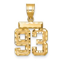 14K Yellow Gold Small Brushed Diamond-cut Number 93 Charm view 1