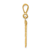 14K Yellow Gold Small Brushed Diamond-cut Number 96 Charm view 2