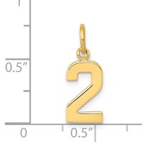 14K Yellow Gold Small Polished Number 2 Charm view 4
