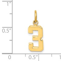 14K Yellow Gold Small Polished Number 3 Charm view 4