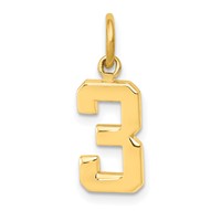 14K Yellow Gold Small Polished Number 3 Charm view 1
