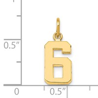 14K Yellow Gold Small Polished Number 6 Charm view 3