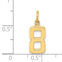 14K Yellow Gold Small Polished Number 8 Charm view 3