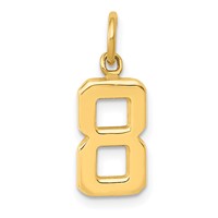 14K Yellow Gold Small Polished Number 8 Charm view 1