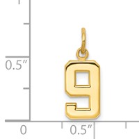 14K Yellow Gold Small Polished Number 9 Charm view 3