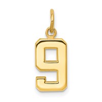 14K Yellow Gold Small Polished Number 9 Charm view 1