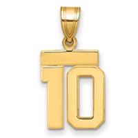 14K Yellow Gold Small Polished Number 10 Charm view 1