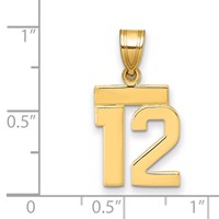 14K Yellow Gold Small Polished Number 12 Charm view 2
