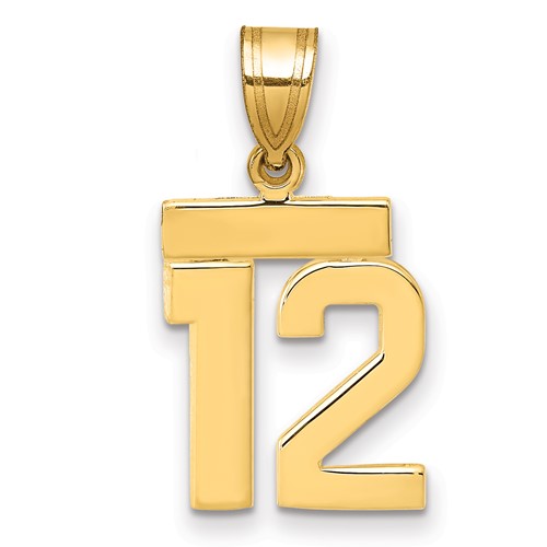 14K Yellow Gold Small Polished Number 12 Charm