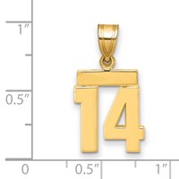 14K Yellow Gold Small Polished Number 14 Charm view 2