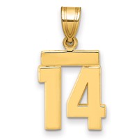 14K Yellow Gold Small Polished Number 14 Charm view 1