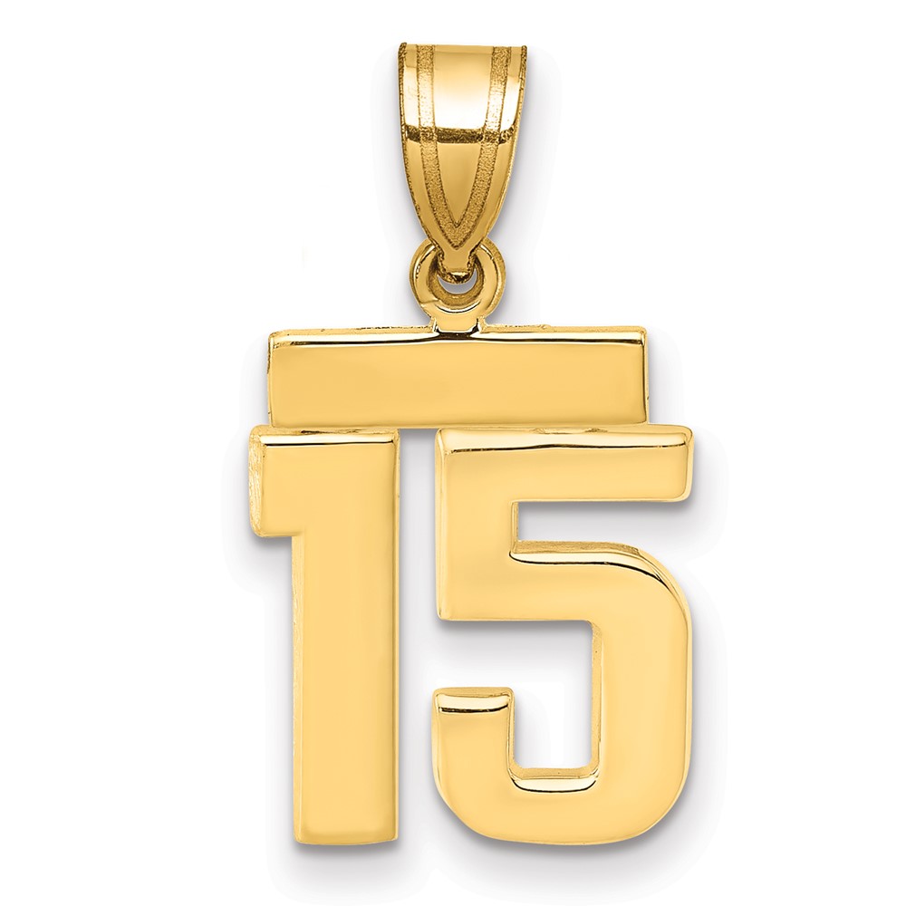 14K Small Polished Number 15 Charm