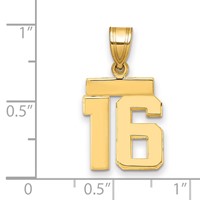 14K Yellow Gold Small Polished Number 16 Charm view 3