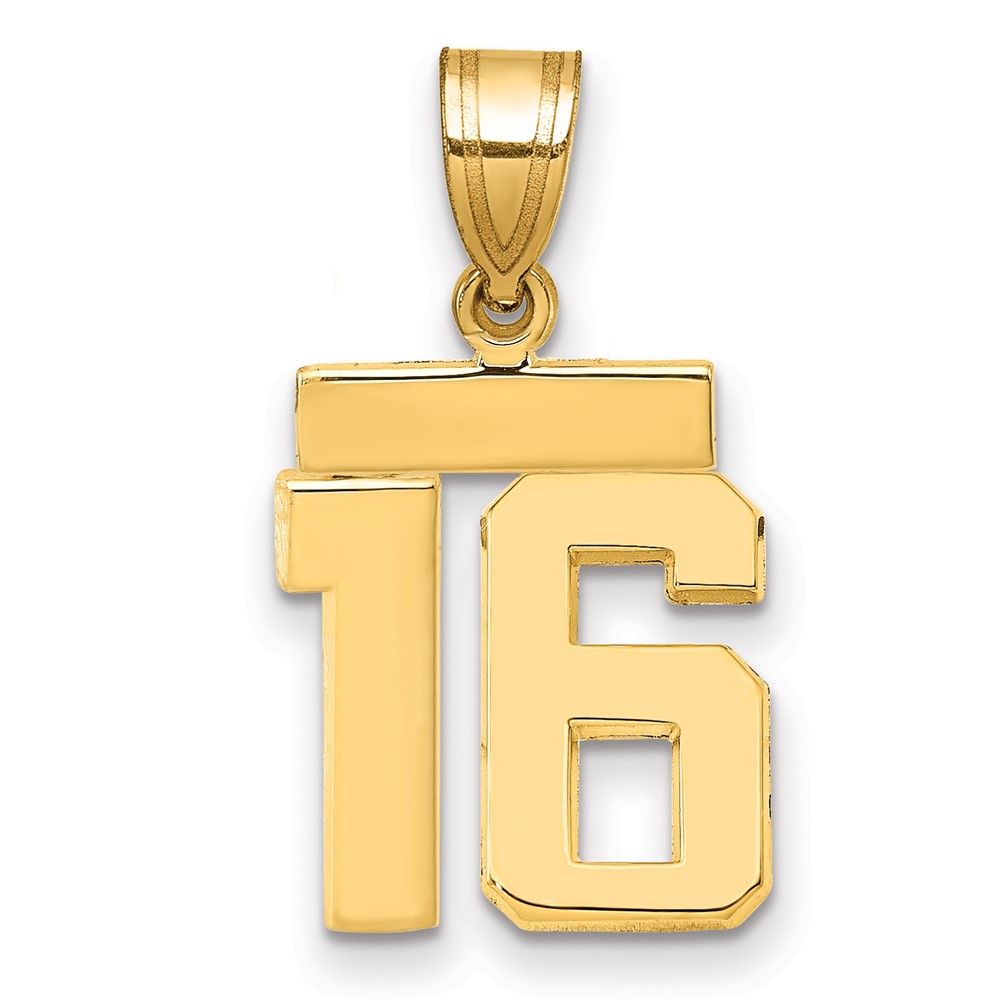 14K Yellow Gold Small Polished Number 16 Charm