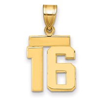 14K Yellow Gold Small Polished Number 16 Charm view 1