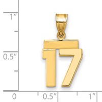 14K Yellow Gold Small Polished Number 17 Charm view 2