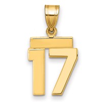 14K Yellow Gold Small Polished Number 17 Charm view 1
