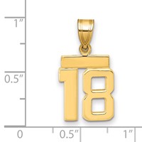 14K Yellow Gold Small Polished Number 18 Charm view 2